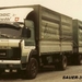 SAURER-330