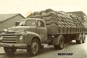 BEDFORD