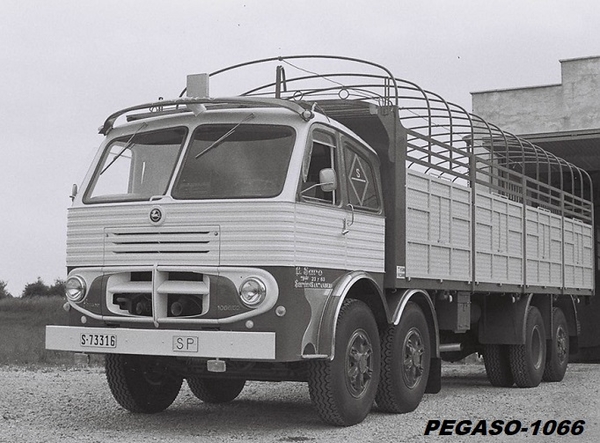 PEGASO-1066