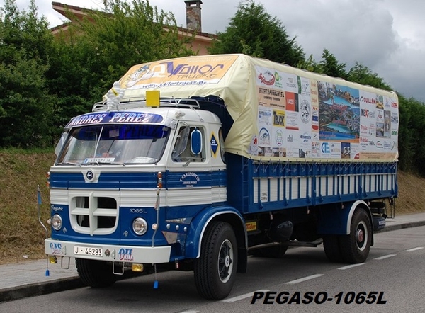 PEGASO-1065L