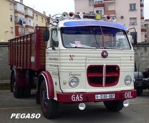 PEGASO