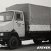 STEYER-591