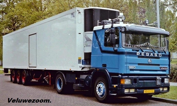 PEGASO