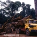 BERLIET