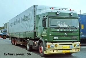 PEGASO