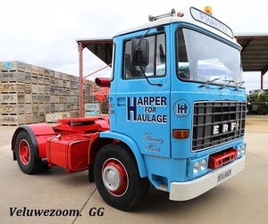 ERF