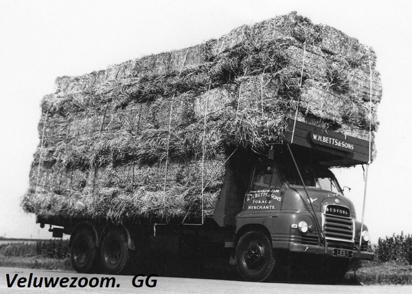 BEDFORD-S