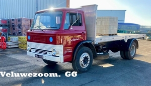 FORD-D