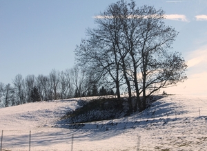 prachtige natuur onderweg