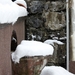 sneeuw