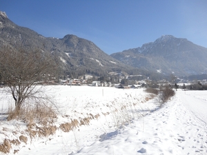 DSC00390