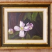 Bloemen uit de tuin