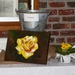 Gele roos