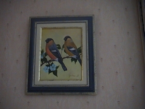 Vogeltjes