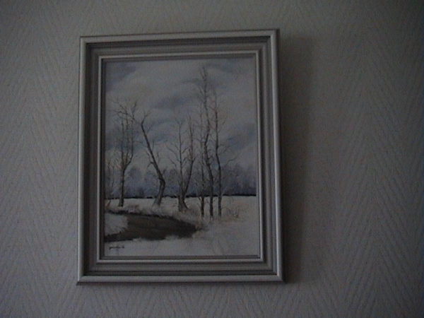 winter met beek
