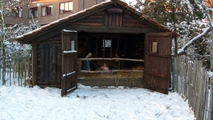 Kerststal 2010 03