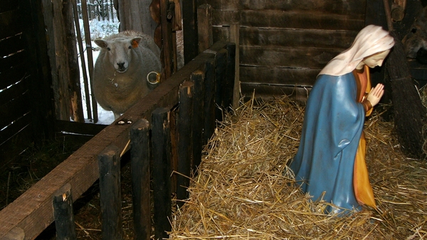 Kerststal 2010 09