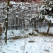 Kerststal 2010 11