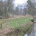 11-02-20 REUSELS MOER (JA) 02