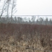 11-02-20 REUSELS MOER (JA) 03