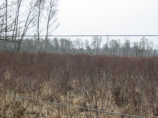 11-02-20 REUSELS MOER (JA) 03