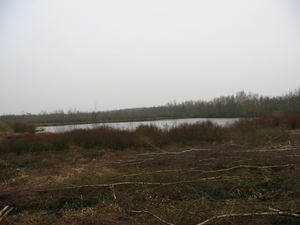 11-02-20 REUSELS MOER (JA) 15