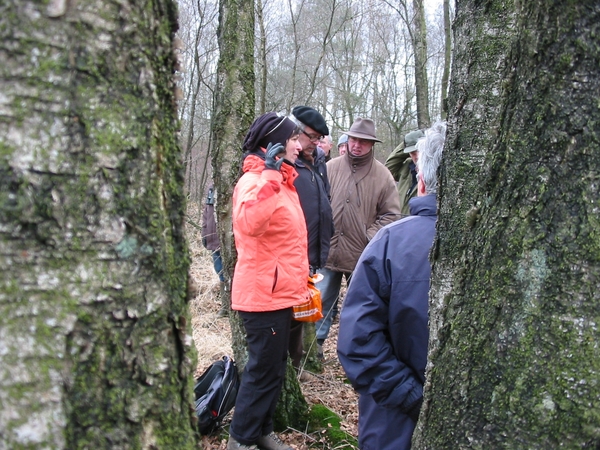 11-02-20 REUSELS MOER (JA) 24