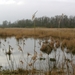 P1270241
