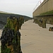blankenbrge 12-03-2011
