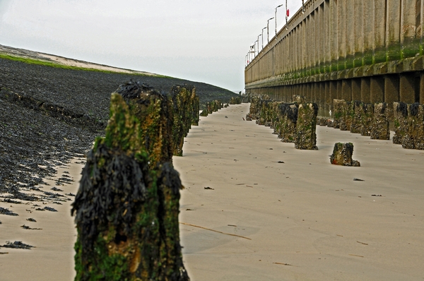 blankenbrge 12-03-2011