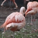 DSC08880