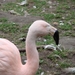 DSC08882