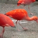 DSC08907