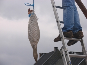 2011-03-13 Ganzenrijden Ekeren 025