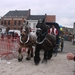 2011-03-13 Ganzenrijden Ekeren 031