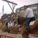 2011-03-13 Ganzenrijden Ekeren 045