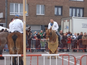 2011-03-13 Ganzenrijden Ekeren 071