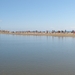 dunas de maspalomas 3