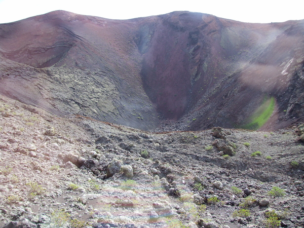 tijdens de busrondrit genomen (achter glas)