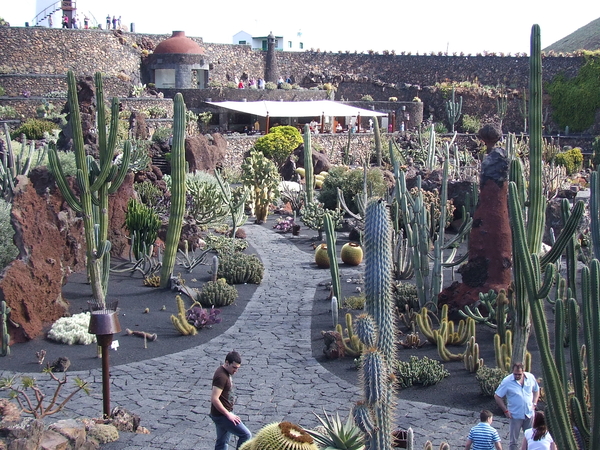 Laatste realisatie van C.Manrique voor hij verongelukte