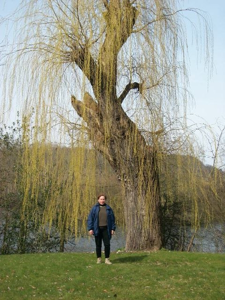 013-Park-domein St-Hubert