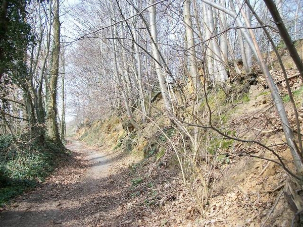 062-Kwaremontbos