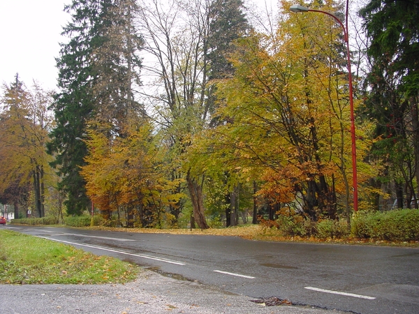 DSC00005