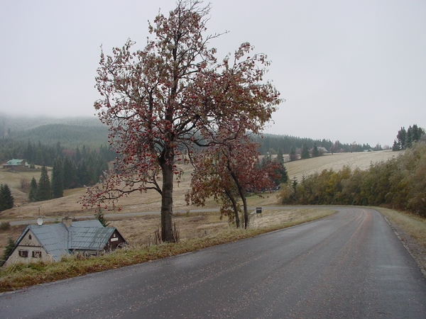 DSC00021
