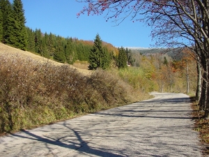 DSC00032
