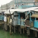 Lantau - Fishing Village