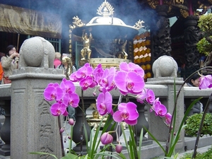 Taipee - Lungshan Tempel