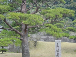 Kagoshima Japan - Senganen Garden