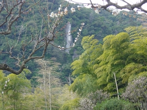 Kagoshima Japan - Senganen Garden