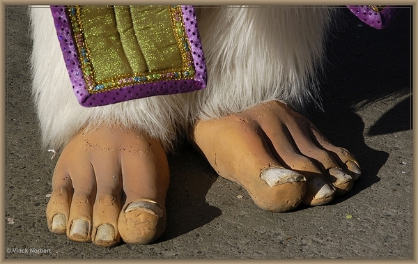 sized_sized_DSC27990a karnaval maandag